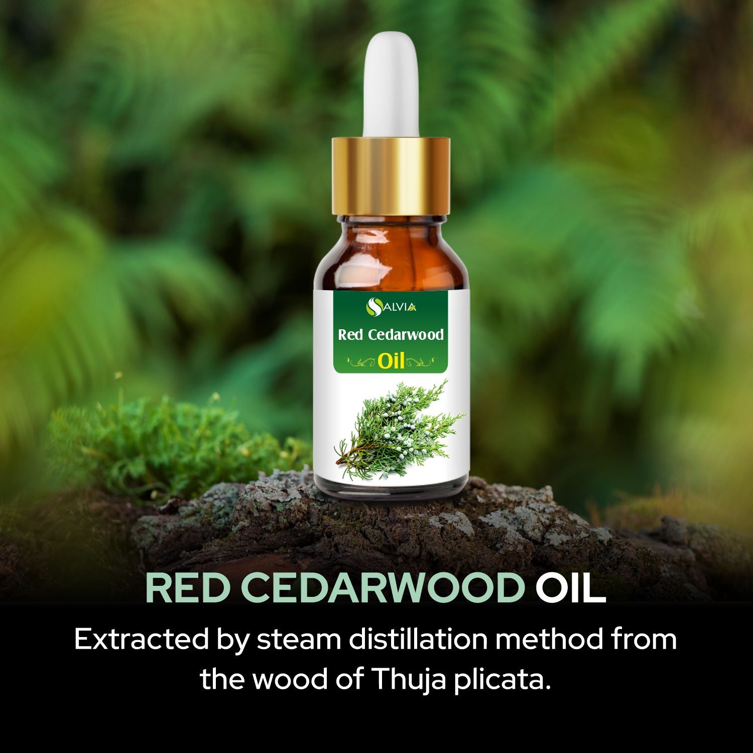 Salvia Natural Essential Oils,Dandruff,Greasy Oil,Anti Fungal,Anti-fungal Oil,Oil for Greasy Hair Red Cedar Wood Oil Salvia Natural Essential Oils,Dandruff,Greasy Oil,Anti Fungal,Anti-fungal Oil,Oil for Greasy Hair Red Cedar Wood Oil